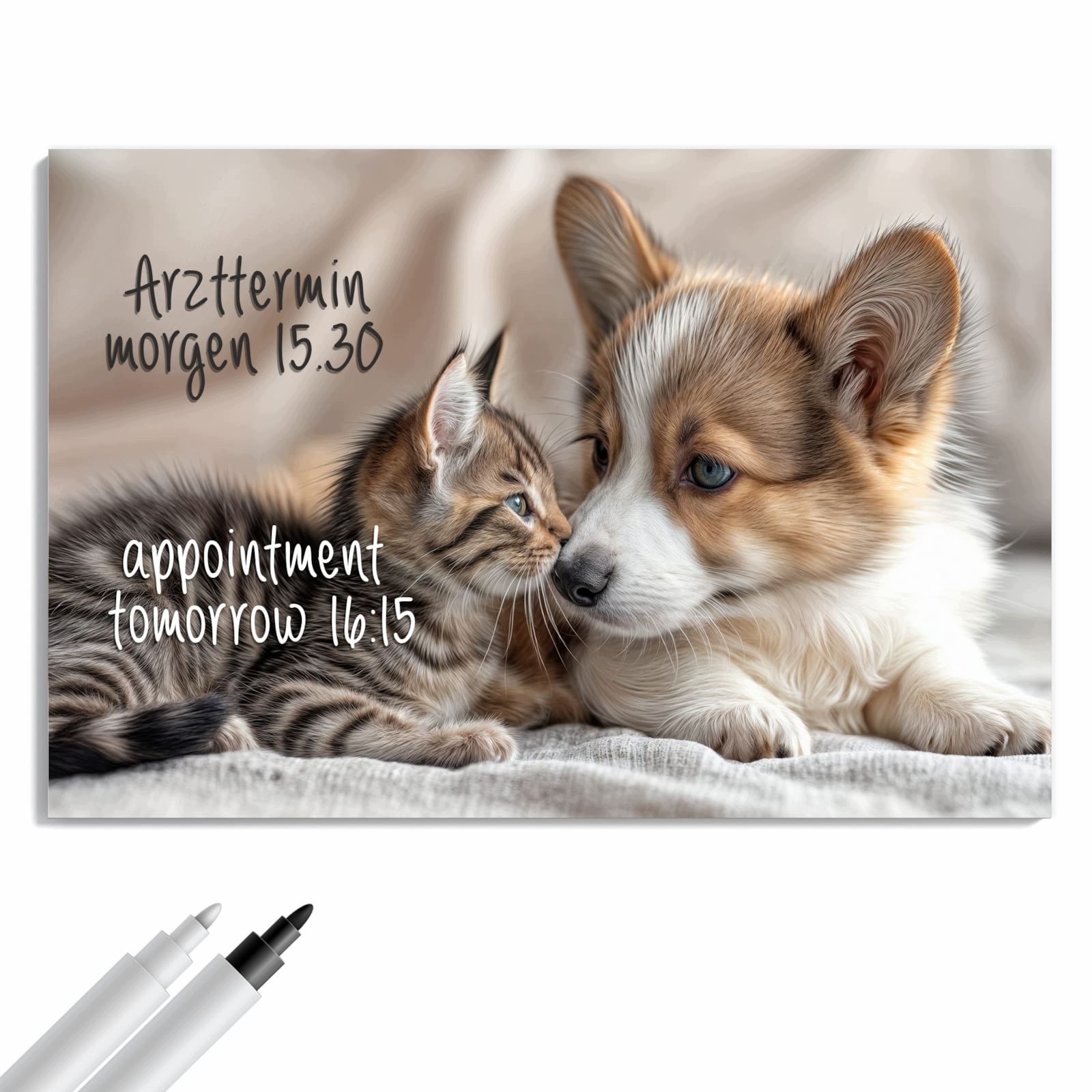 Magnetická tabule – obraz na zeď Štěně koťátko | 60 × 40 cm