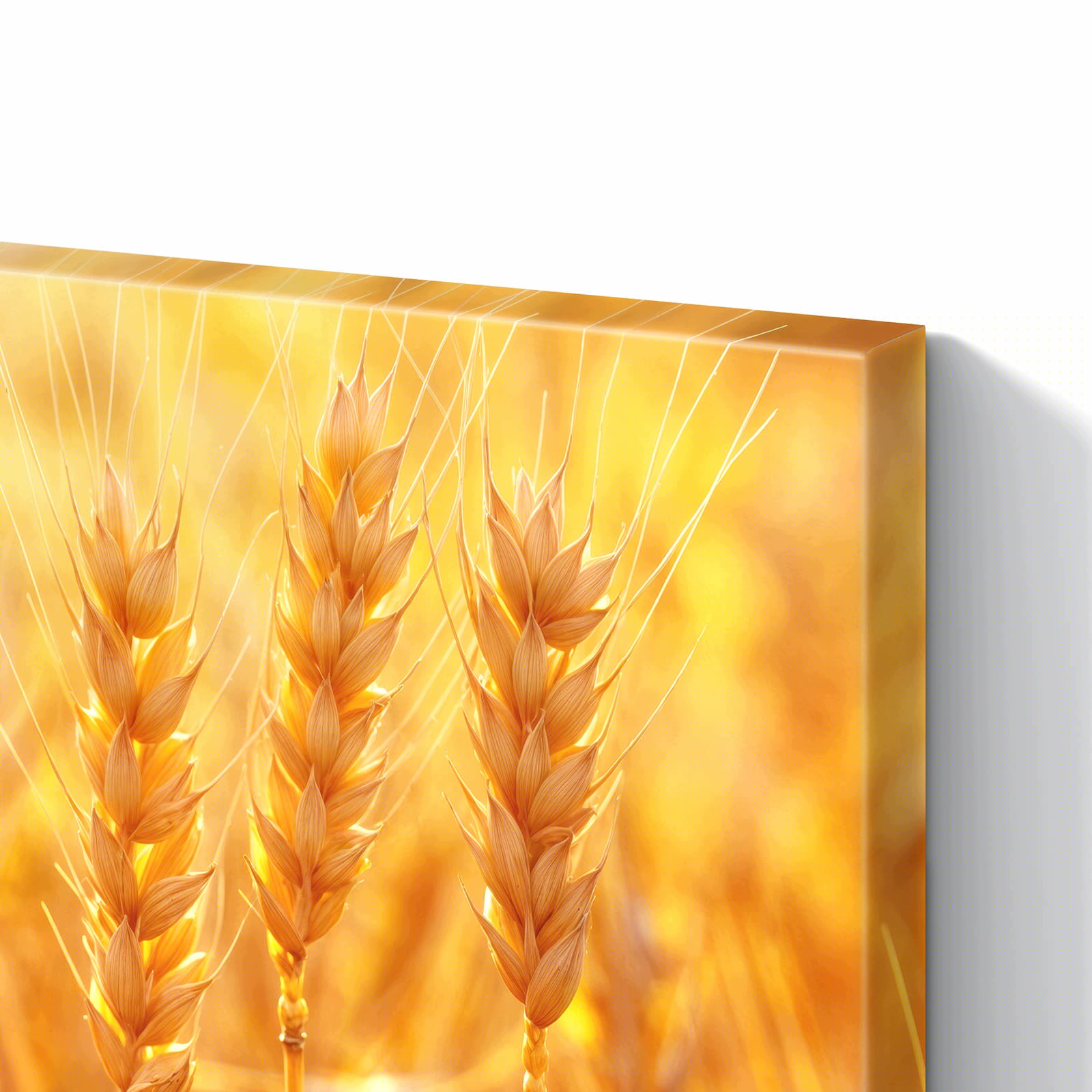 Magnetická tabule – obraz na zeď Moře květin – motiv 1 | 90 × 60 cm