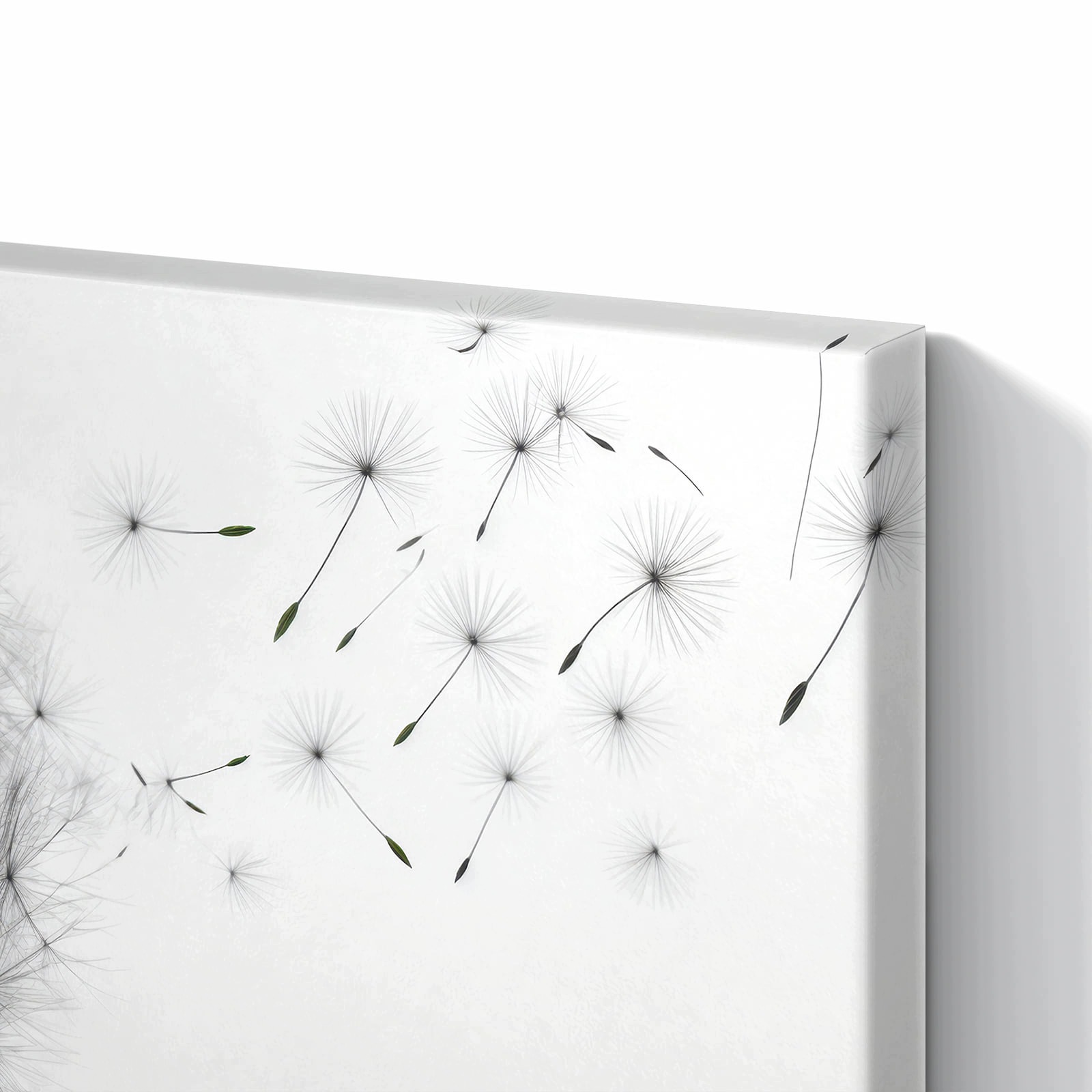 Magnetická tabule – obraz na zeď Pampeliška ve větru – motiv 1 | 60 × 40 cm