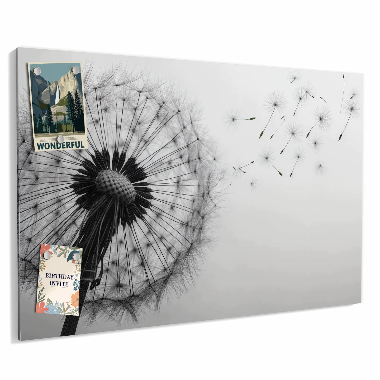 Magnetická tabule – obraz na zeď Pampeliška ve větru – motiv 1 | 60 × 40 cm