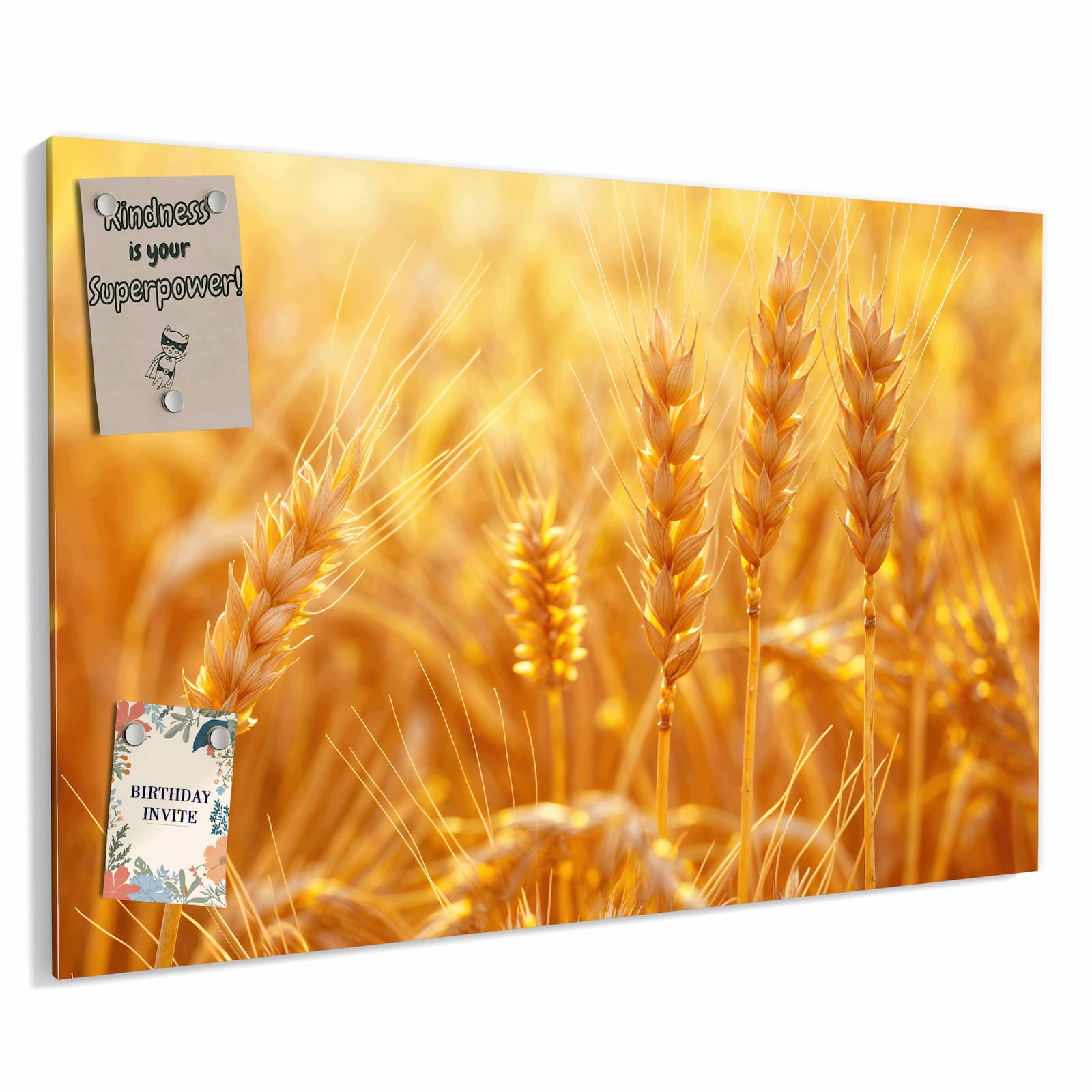 Magnetická tabule – obraz na zeď Zlaté klasy večerní světlo | 60 × 40 cm