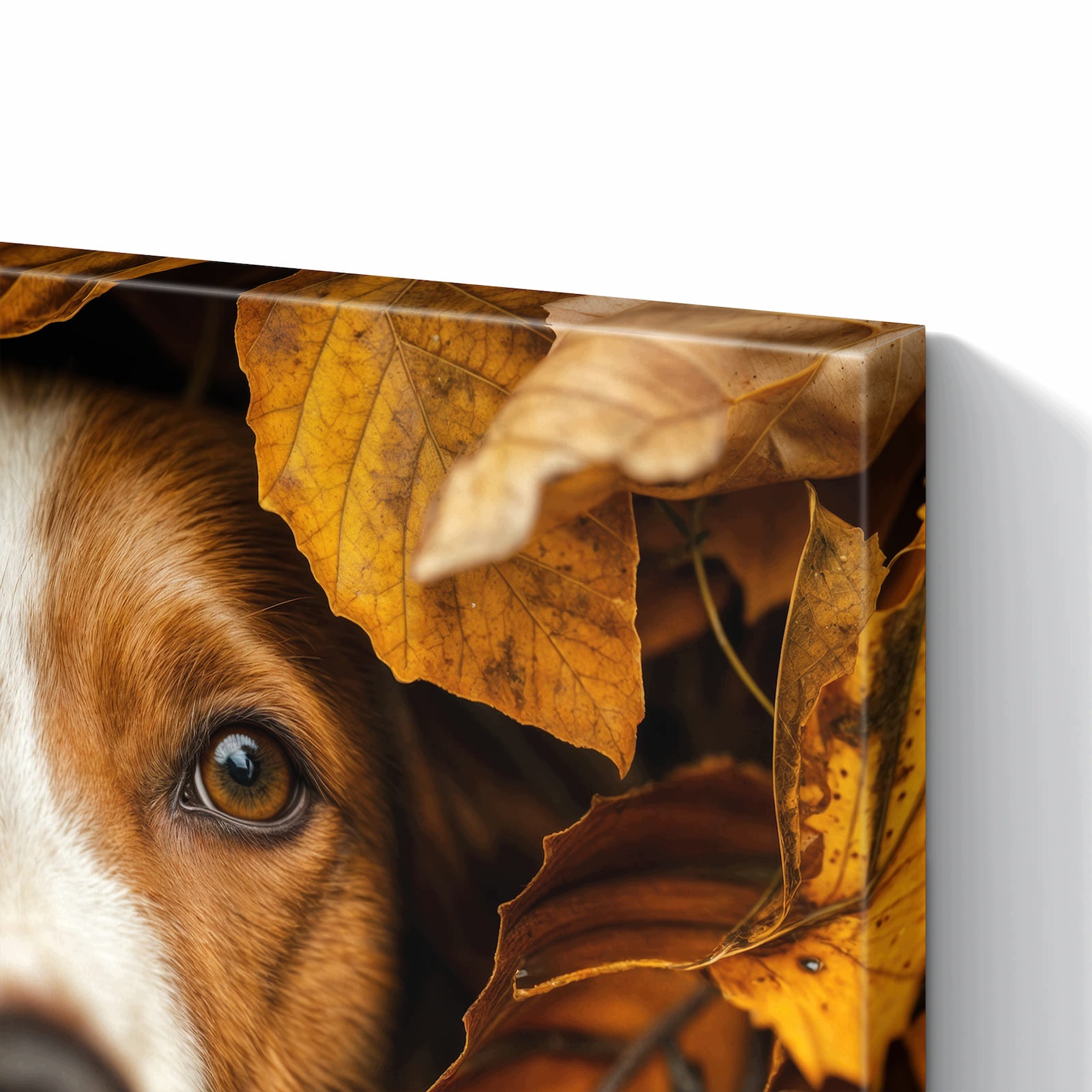 Magnetická tabule – obraz na zeď Pes v podzimním listí | 60 × 40 cm