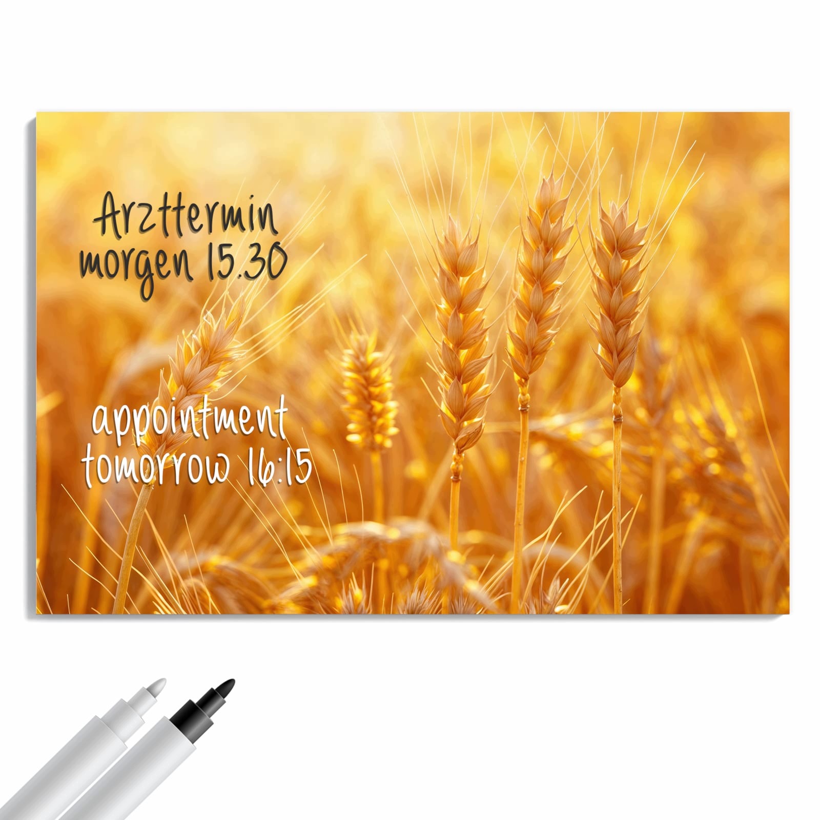 Magnetická tabule – obraz na zeď Zlaté klasy večerní světlo | 90 × 60 cm