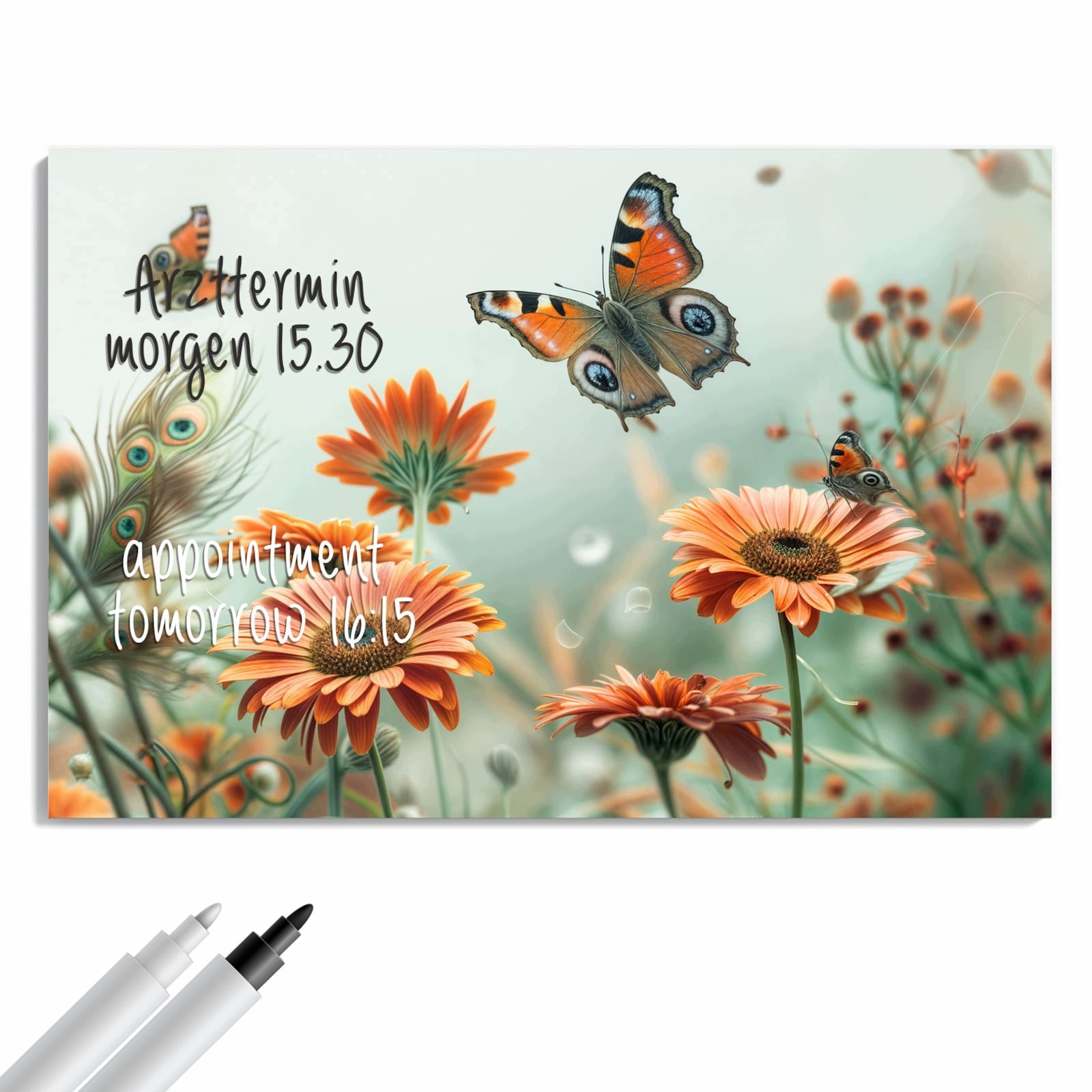 Magnetická tabule – obraz na zeď Motýl louka | 60 × 40 cm