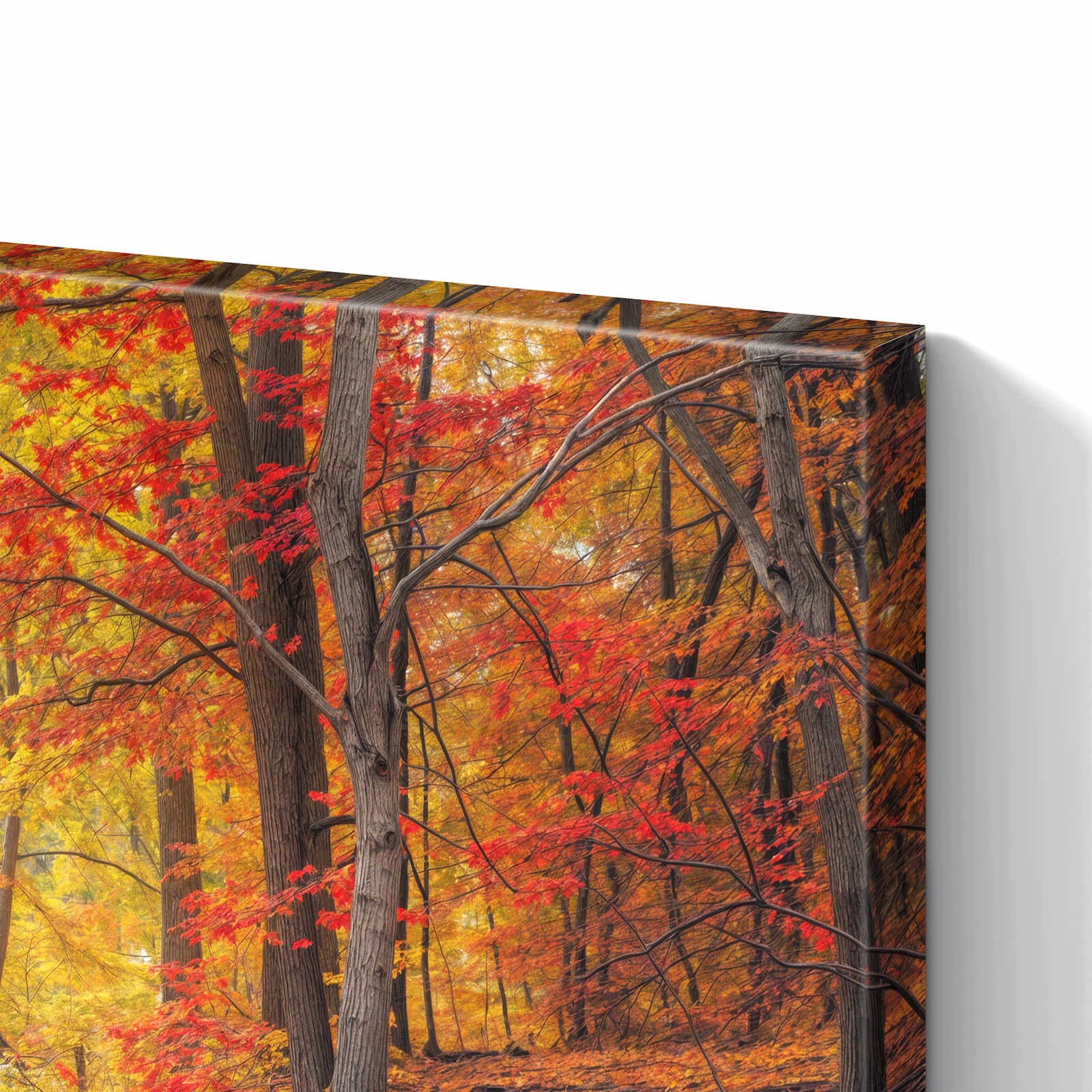 Magnetická tabule – obraz na zeď Podzimní les jezero – motiv 2 | 90 × 60 cm