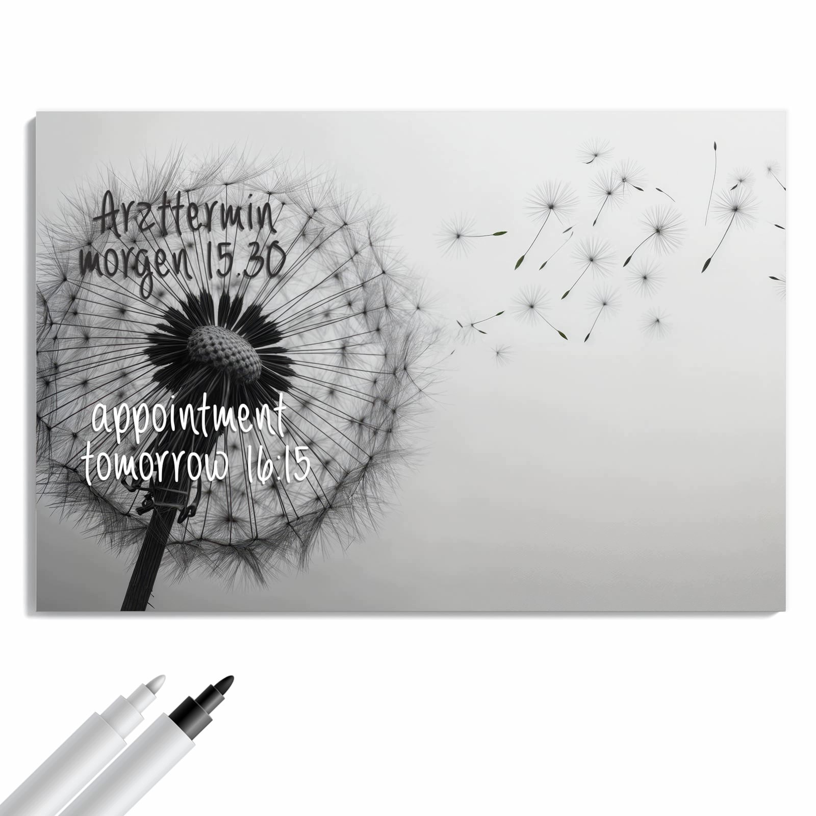 Magnetická tabule – obraz na zeď Pampeliška ve větru – motiv 1 | 90 × 60 cm