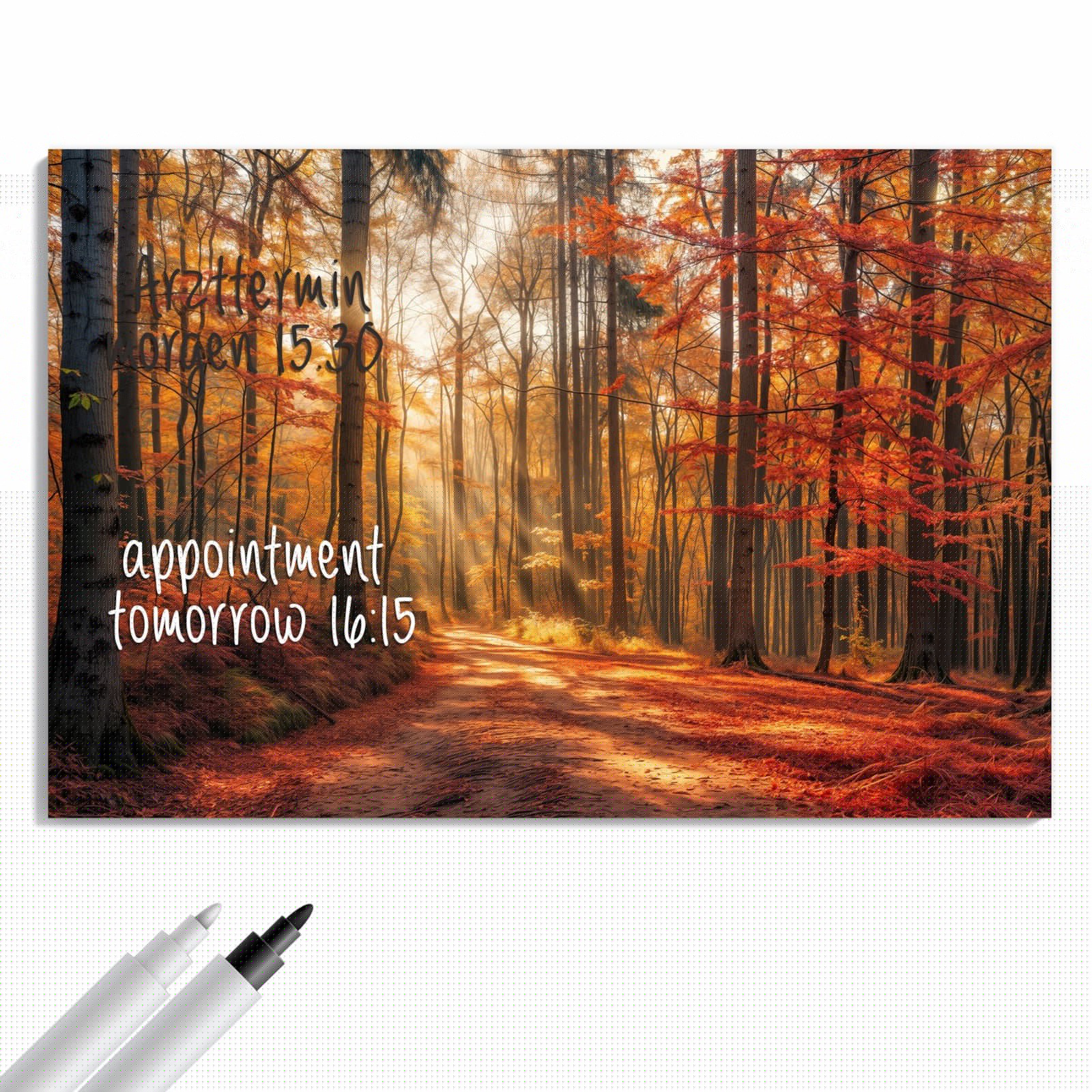 Magnetická tabule – obraz na zeď Pobřeží jezera večerní nálada | 90 × 60 cm