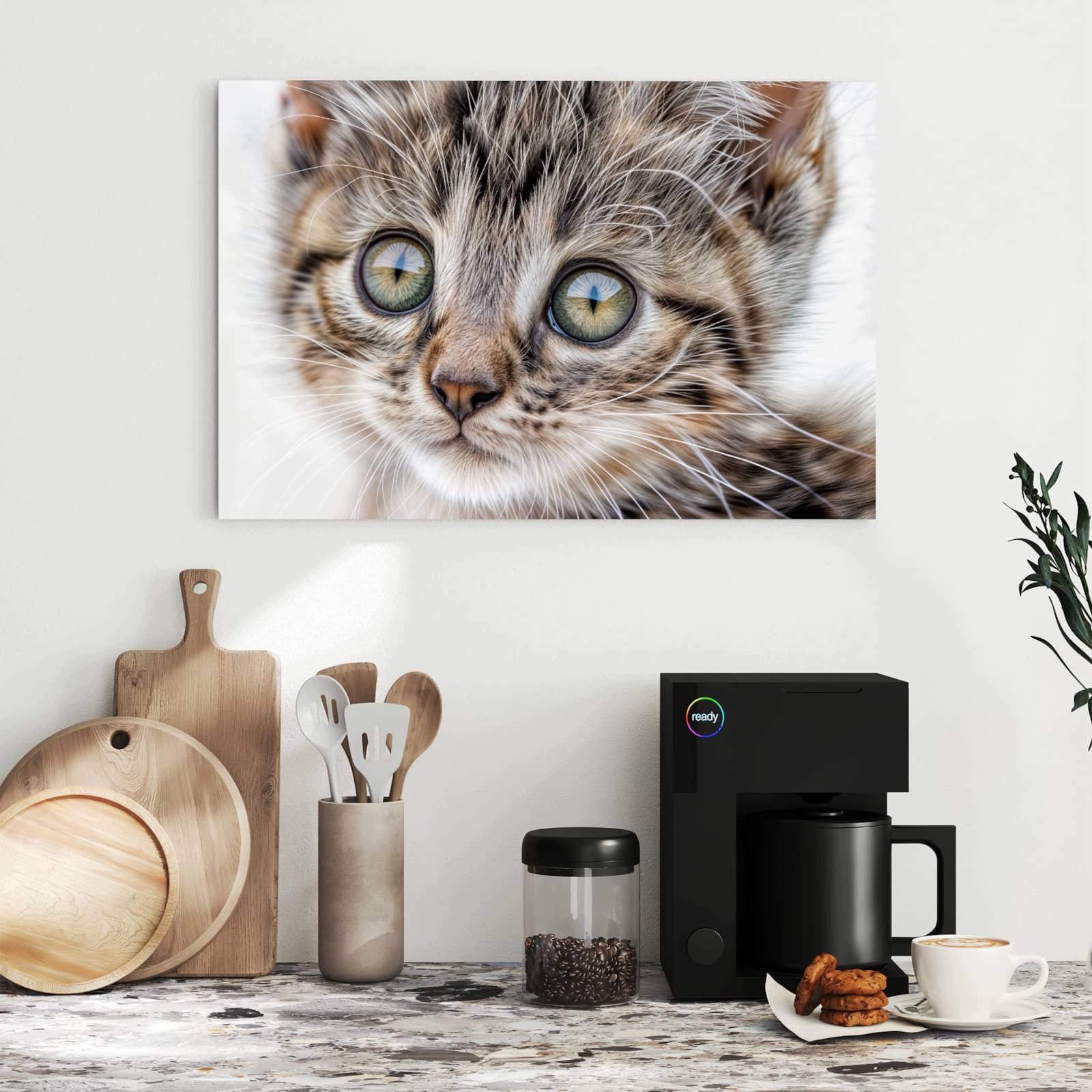 Magnetická tabule – obraz na zeď Zvědavé kotě | 60 × 40 cm