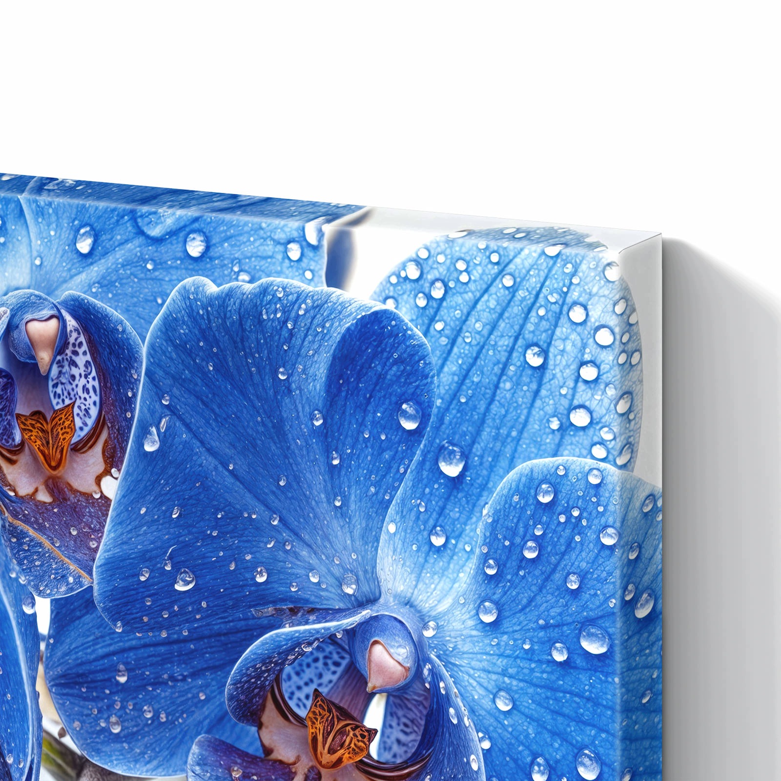 Magnetická tabule – obraz na zeď Modré orchideje | 90 × 60 cm