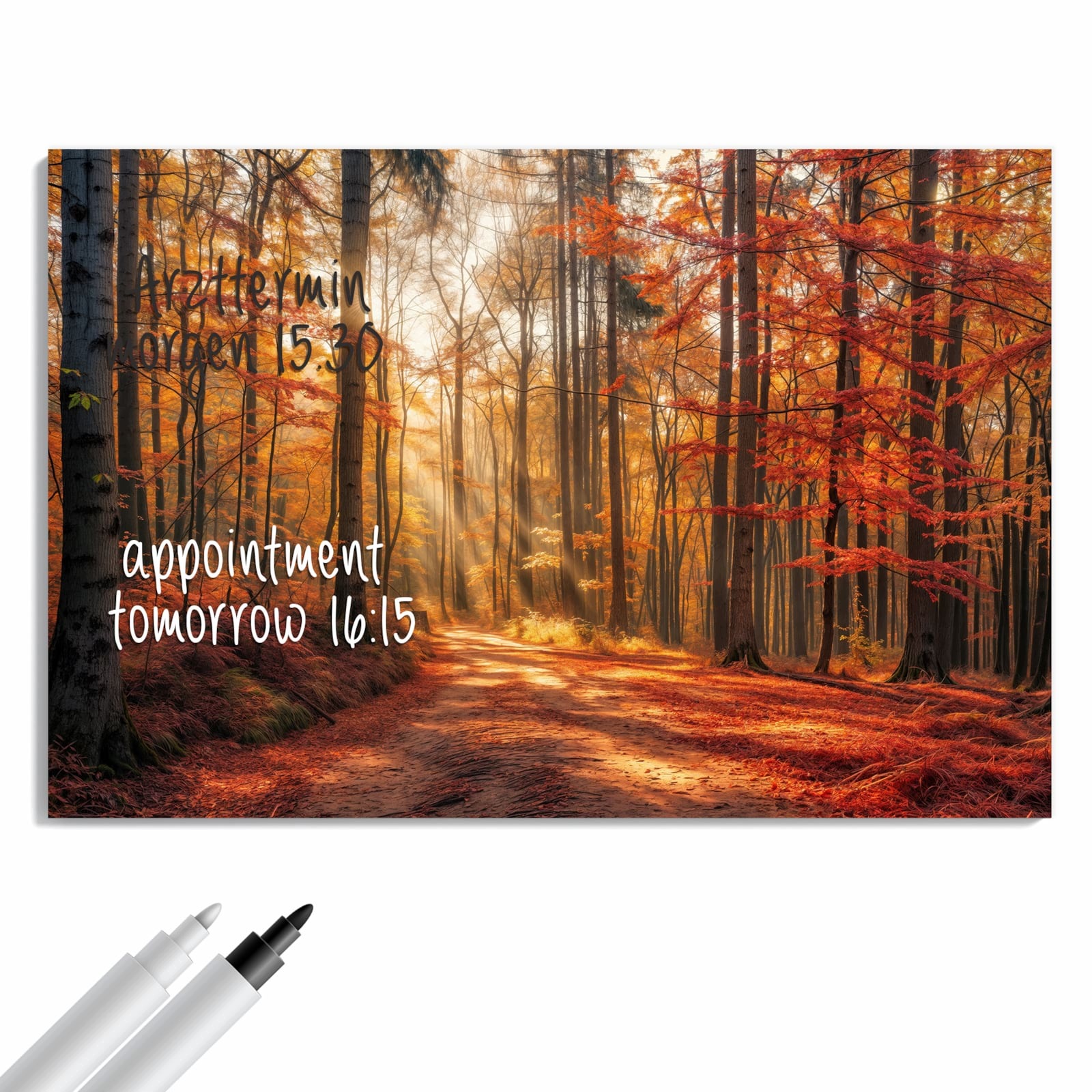 Magnetická tabule – obraz na zeď Podzimní lesní stezka | 60 × 40 cm
