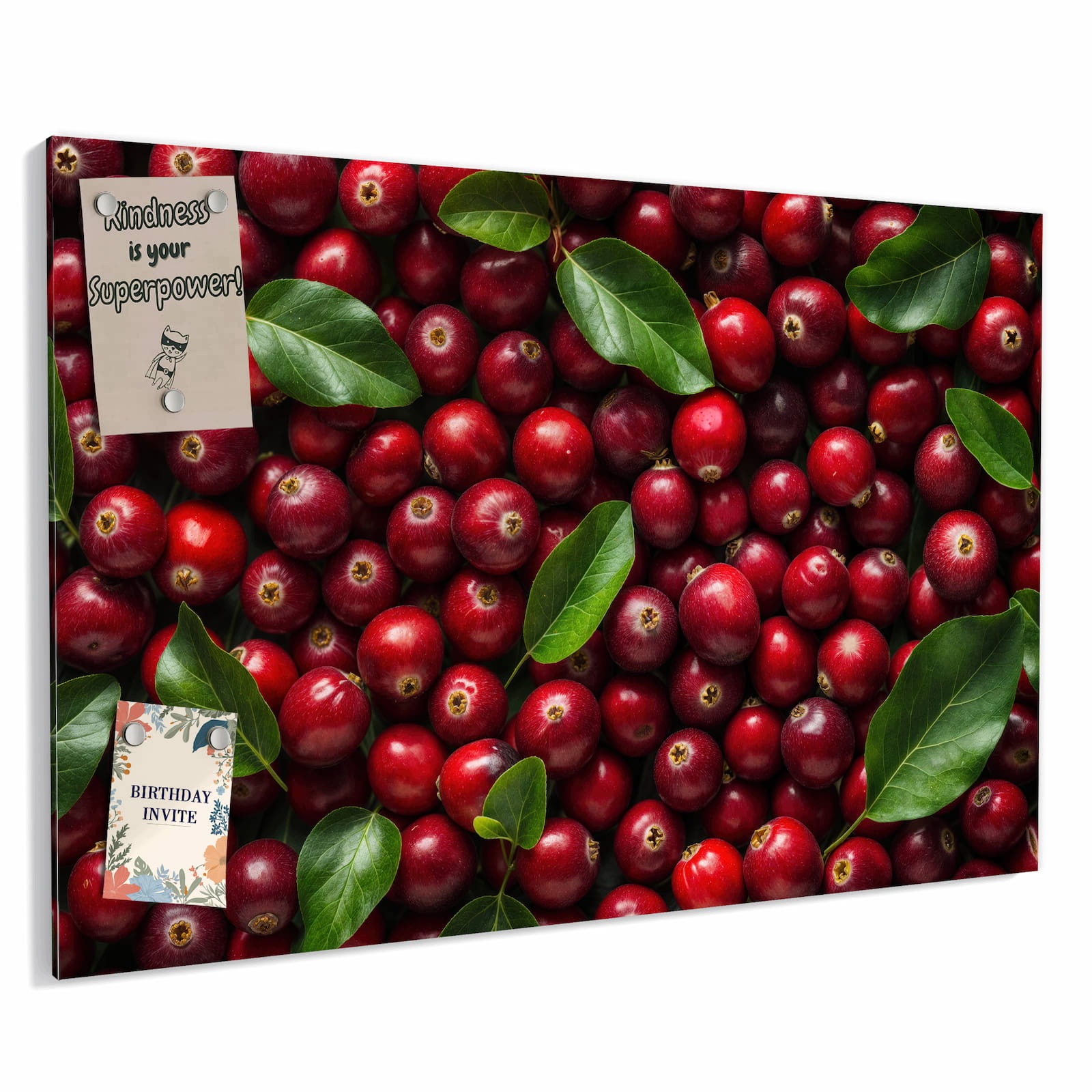 Magnetická tabule – obraz na zeď Svěží brusinky | 60 × 40 cm