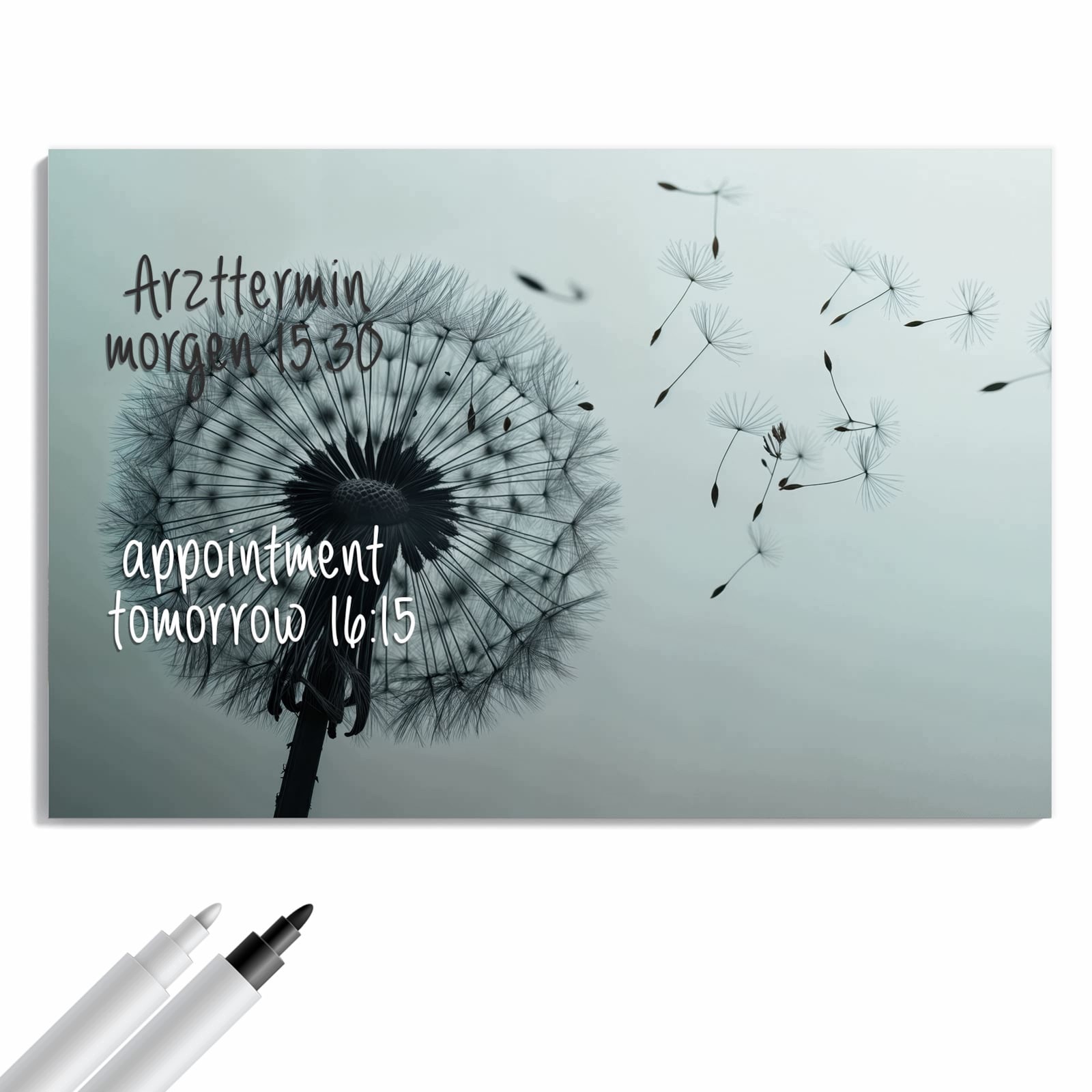 Magnetická tabule – obraz na zeď Jemná pampeliška | 60 × 40 cm