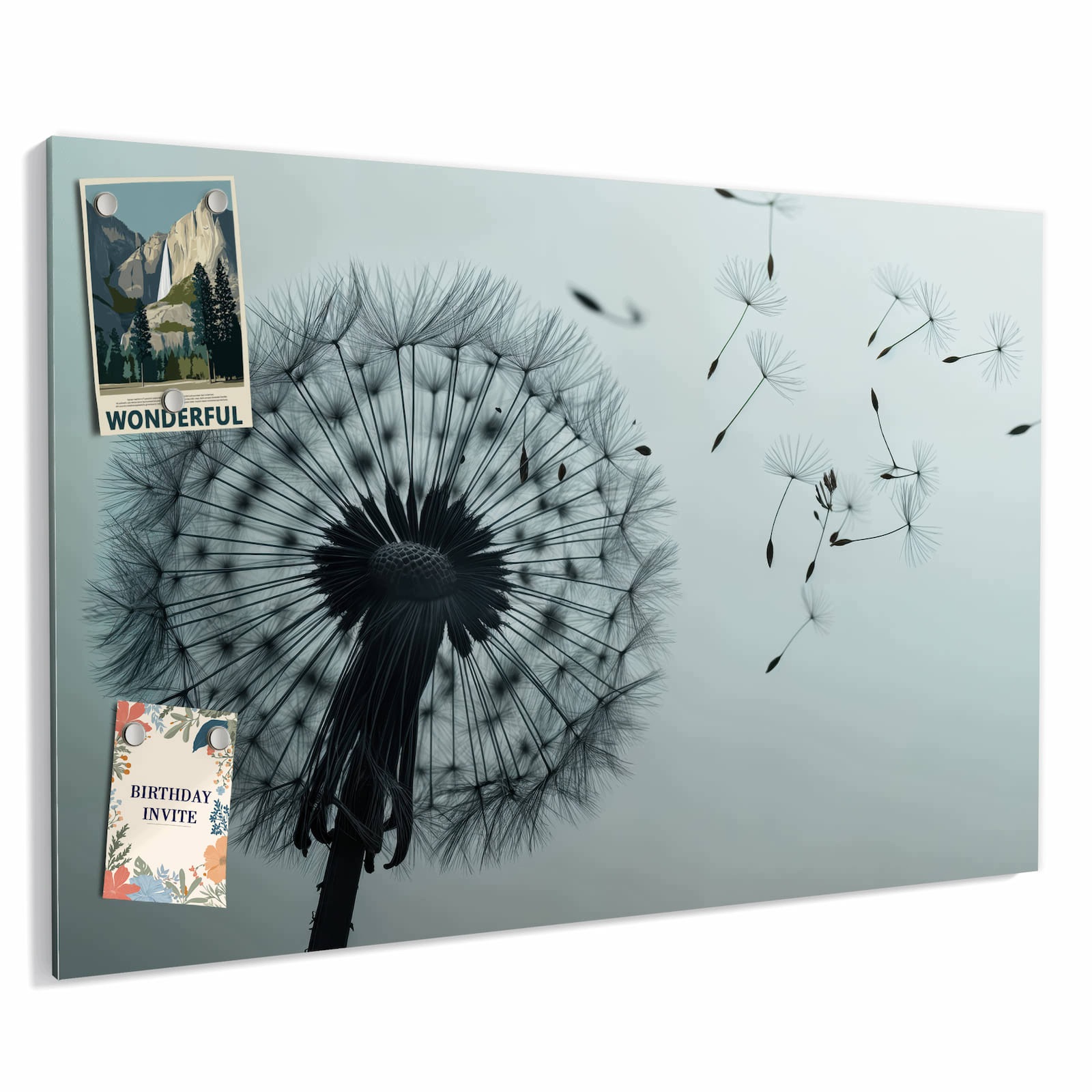 Magnetická tabule – obraz na zeď Jemná pampeliška | 60 × 40 cm